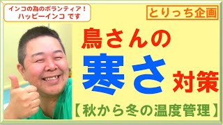 鳥さんの寒さ対策［とりっち企画」はがひでき＆ハッピーインコ