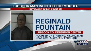 Man indicted for murder