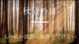 【本当に変わります】人の低い波動・エネルギー・感情・言葉に影響を受けなくするたった一つのこと！浄化【龍の背中に乗って覚醒】瀬織津姫・超感覚・本質・龍神•スピリチュアル