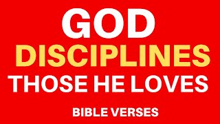 10 Bible Verses On Discipline
