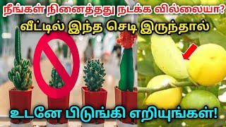 நீங்கள் நினைத்தது நடக்கவில்லையா ? வீட்டில் இந்த செடி இருந்தால் உடனே பிடுங்கி எறியுங்கள் !