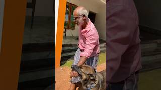 എല്ലാം ഞാൻ തന്നെ നോക്കണം 😠|ലെ ലെയ്ക #chottu #dog #doggyzworld #doglover