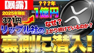 【暴露】リップル社の裏側に潜入！XRPはなぜ2014年から上がり続けているのか？