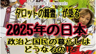 「国民は冷静に政府の動向を見ているのです」2025年の日本・政治と国民の暮らしをタロットの精霊🧚に教えてもらいました❣️