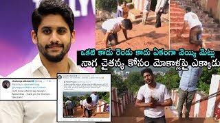Naga Chaitanya Fan Completed 1000 Steps With Knees | Samantha | Daily Culture