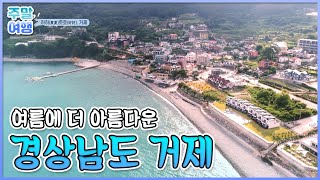 여름만 되면 더 빛이 나고 아름다워지는 곳, 거제 여행🌊 [테마기행길]