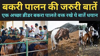 ब्रीडर बकरा तैयार करते समय यह गलतियां ना करें How to Prepare Goat Breeder for Goat 📞9350146903