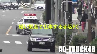 イエローカットした瞬間に走り出す赤坂パトカーの前で信号無視も…短い緊走で初心者マーク付き違反車を検挙！教習所で何を学んだんだ？