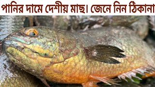 সস্তায় রেকর্ড করেছে তুলসীখালী! সবথেকে কম দামে দেশীয় মাছ পাওয়া যায় এই হাটে।Raseldohar