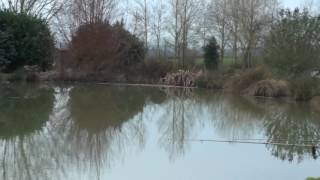 TODDINGTON FISHERY, TODDINGTON, BEDFORDSHIRE