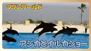 アシカとイルカのショー　マリンワールド海の中道