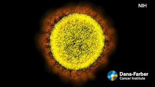 COVID-19: Study shows sharp decline in cancer screenings and diagnoses