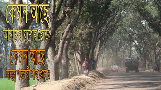 যশোর রোডের ইতিহাস || যশোর রোডের শতবর্ষী বৃক্ষের কথা || যশোর রোডের গল্প || যশোর রোড || Jessore Road