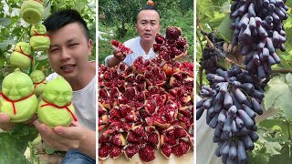 Farm Fresh Ninja Fruit Cutting | Oddly Satisfying Fruit Ninja #17