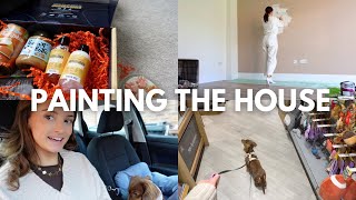 VLOG: painting the house, pets corner w my sausage dog, pr packages