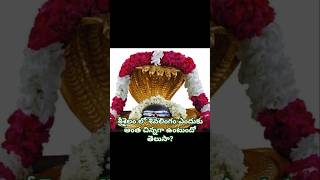 శ్రీశైలం లో శివలింగం మిస్టరి l Srisailam Sivalingam Mistery #shorts #ytshorts