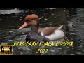 4K  Taman Burung Kuala Lumpur Bird Park