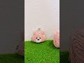 でておいでーっ！.... 制作動画 あみぐるみ ハンドメイド くま 編み物 がま口