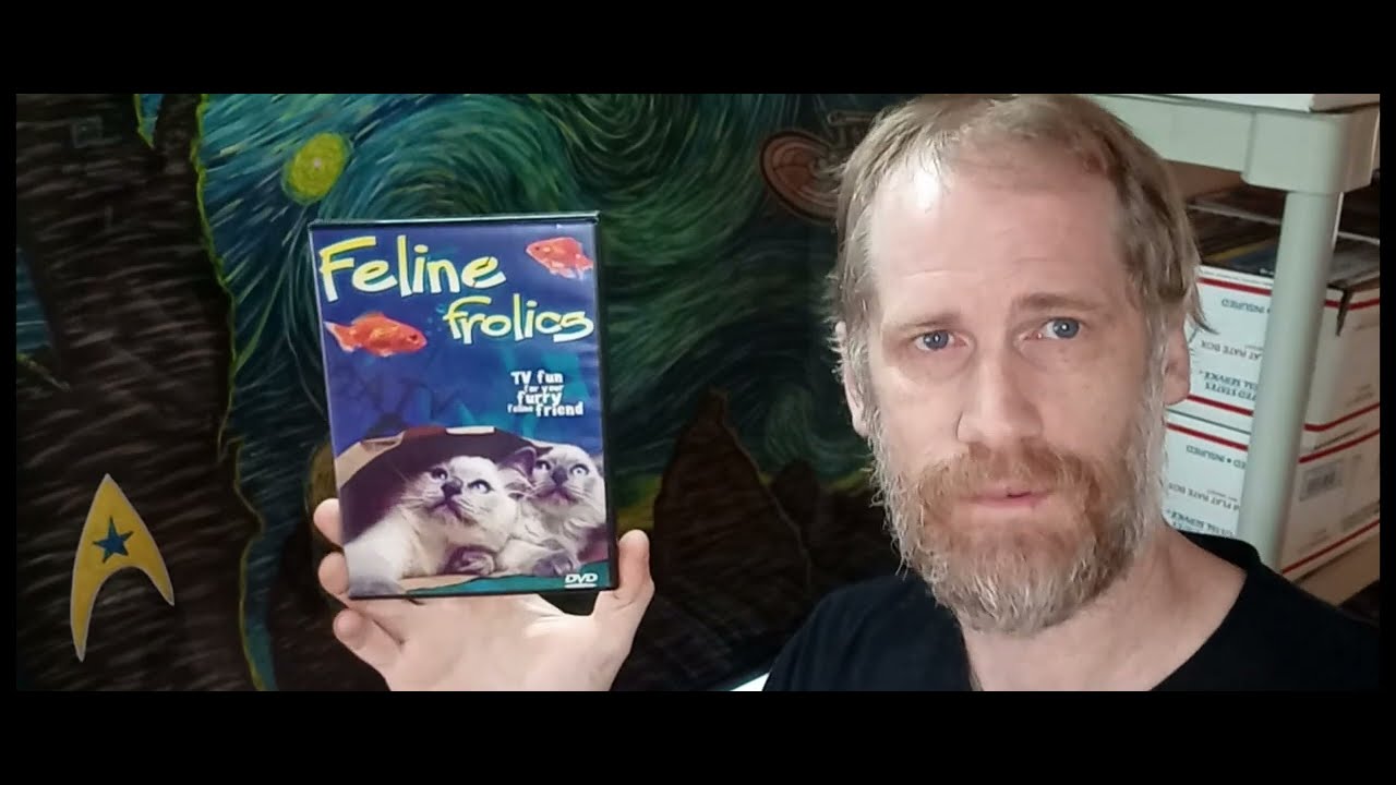 What Sold 600 25 Ebay Weekend Orders Reselling Physical Media Dvds