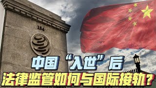 中国驻WTO大使谈中国“入世”20年 法律法规如何与国际接轨（上）