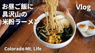 【田舎暮らし vlog】インスタント麺でもヘルシー/米粉ラーメン醤油味/お昼ご飯/野生のビーバー/Rice ramen/Lunch/Wild animals/Beaver/GFCooking/Vlog