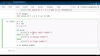 Python Tutorial #12 Conditional Statements If Else