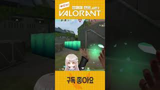 《발로란트》혼자 다한 사람의 최후#shorts  #valorant  #발로란트 #vtube