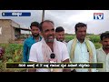 koppal farmer tomato crop held by the farmer who was in loss for nine years tomato national tv