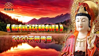 《春有百花秋有月》2020最美佛歌印良法师曲风优美，清心静念消除烦恼