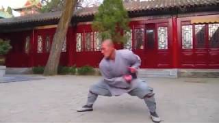 Shaolin Xiao Luo Han Quan