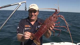 WA Cray Fish All the tips and tricks Fishing Western Australia Series 14 Ep 12 Full Show