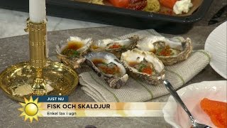 Fisk och musik med Tommy Myllymäki - Nyhetsmorgon (TV4)