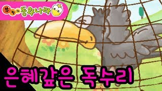 [부키의동화나라] 은혜 갚은 독수리