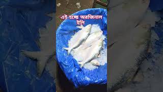 যারা অরজিনাল না এই হচ্ছে অরজিনাল ইলিশ #video