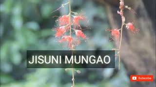 Jisuni Mungao bodo Christan song...