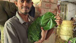 TM : B B I | KOLKATA BETEL LEAF | VIP KALI BANGLA \u0026 MEETHA PAAN WHOLESALE📞9647365286 | 9593156807