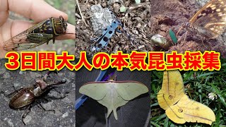 2泊3日の里山昆虫採集の様子を全部見せる…！【ライトトラップ】