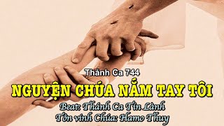 744 Nguyện Chúa Nắm Tay Tôi - Hamo Thuy