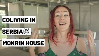 Why Do Remote Workers LOVE Serbia?!! Coliving at Mokrin House!!