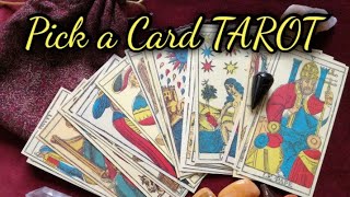 PICK A CARD TAROT🔮WHAT IS THE FATE OF THIS CONNECTION?💘The Mystical Surya
