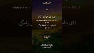 وَٱضْرِبْ لَهُم مَّثَلَ ٱلْحَيَو‌ٰةِ ٱلدُّنْيَا - شیخ عامر الکاظمی - سوره الکهف، آیه ۴۵