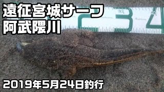 【宮城エリア】阿武隈川河口でマゴチ釣り