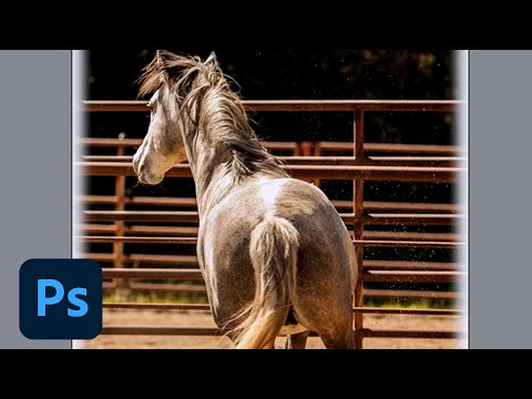 Photoshop Playbook: Adding Borders to Images Photoshop Playbook: Adding Borders to Images