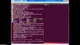 Openstack Juno installation using Devstack