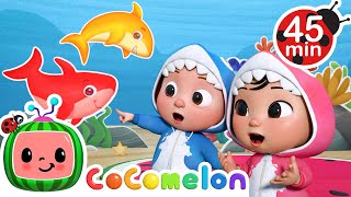 Baby Shark Learns Colors + MORE CoComelon Nursery Rhymes & Kids Songs