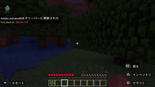 『マイクラ』アドオン入れてみた(初見歓迎)