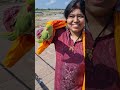 Chilaka Josyam 🦜🦜 #shorts #parrot #astrology #justinbieber #travel #viralvideo #viral #bb5 #pspk #om