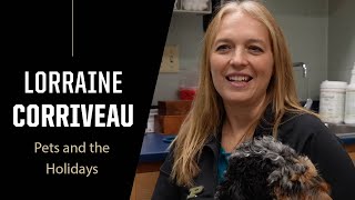 Purdue Expert: Pets and the Holidays