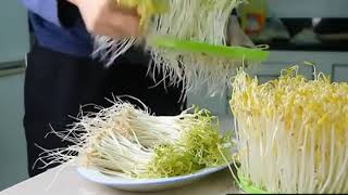 豆芽机